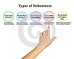 Five Types of Debentures
