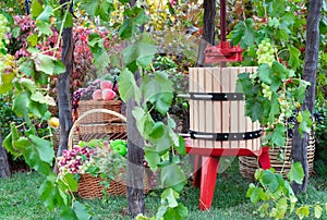 Press for squeezing juice from grapes. Wine making device