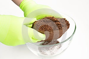 Pressed coconut peat briquette in woman hands