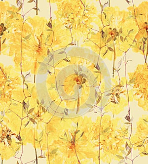 Pressed and dried summer yellow flowers pattern