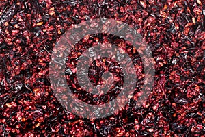 Pressed grape pomace, seeds and skins. Winemaking background photo