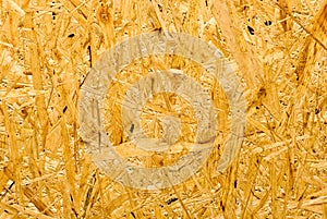 Pressed wooden panel seamless background