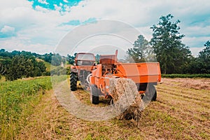 Pressing hay into bales, old working press, harvesting and harvesting dry fodder