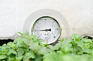Pressure gauge in bushes.
