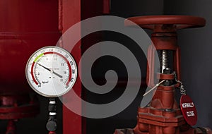 Pressure gauge for fire suppression system