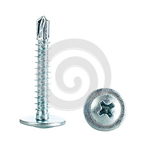 Two metal self-tapping screws photo