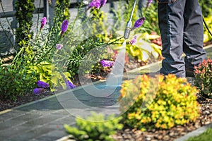 Pressure Washing Garden Path