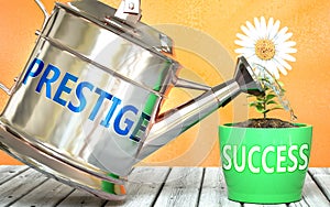 Prestige helps achieving success - pictured as word Prestige on a watering can to symbolize that Prestige makes success grow and
