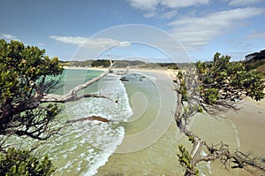 Pristine Beach. Tutukaka Coast photo