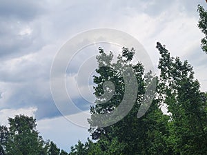 Prestorm clouds