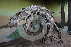 Prestosuchus chiniquensis fossil details photo