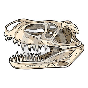 Prestosuchus chiniquensis fossilized skull hand drawn sketch image. Carnivorous pseudosuchians reptile dinosaur fossil