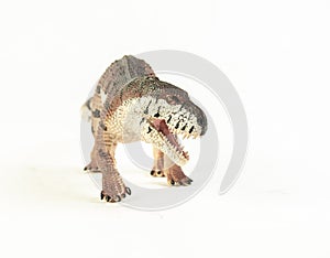 Prestosuchus , dinosaur on white background