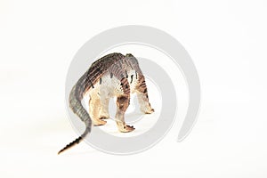 Prestosuchus , dinosaur on white background