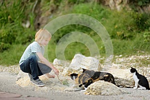 Preteen boy enthusiastically plays with cute kittens. Little boy strokes funny wildcats on the street of a small seaside town.