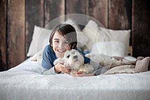 Preteen child, boy, playing with his pet, maltese dog at home