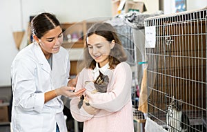 Preteen girl holding kitten, talking to female volunteer in shelter
