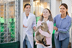 Preteen girl with mother holding adopted gray tomcat in animal shelter photo