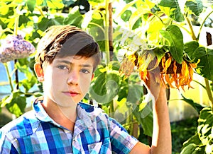 Preteen handsome boy with sunflower summer outdoor portrait