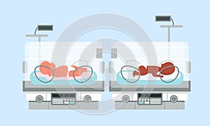 Preterm baby incubator with infants, neonatal intensive therapy, neonatologist equipment photo