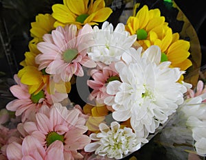 Prettty Bright Closeup Pink ,White, Yellow Daisy Flowers Bouquet