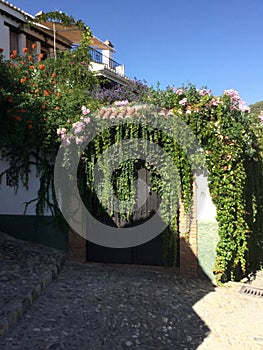 Pretty Albaicin Home in Granada