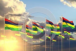 Pretty any celebration flag 3d illustration - many Mauritius flags on sunset placed in row with selective focus and place for