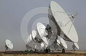 Pretty array of Large antenna