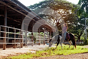 Pretty Asian woman cowgirl riding a horse outdoors in a farm.