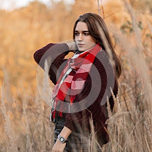 Pretty attractive fashionable young woman in a trendy knitted burgundy sweater with a stylish plaid scarf posing in a field among