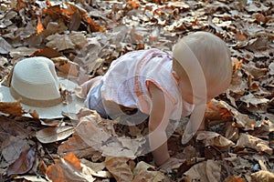 A pretty baby crawling in autumn leaves