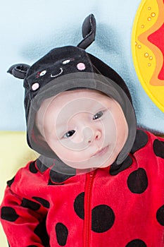 Pretty baby girl, dressed in ladybug costume on green background