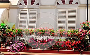 Pretty Balcony with flowers