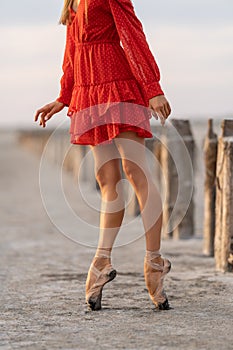 Female ballet dancer is posing on salt seashore