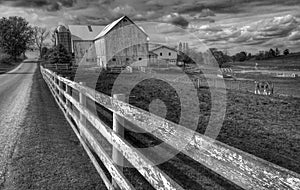 A pretty black & white scene of a horse, white fence, and a wooden farm in Ohio`s Amish Country - OHIO - AMISH - USA