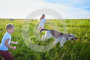 Pretty blonde girl and small boy having fun with big shepherd dog on green glass in meadow or field on natural landscape