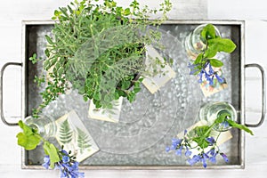 Pretty botanicals on a galvanized tray
