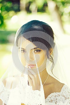Pretty bride under veil