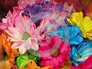 Pretty Bright Closeup Colourful Pink, Yellow, Blue, Red Green Dairy Flowers Bouquet