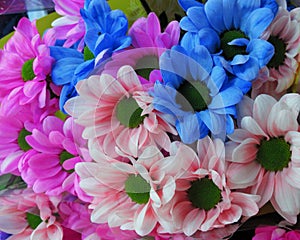 Pretty Bright Fresh cut Colorful Daisy Bouquet Closeup Flowers