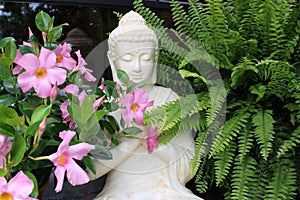 Pretty buddha statue with closed eyes and praying hands in zen-like garden