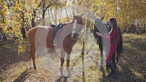 Pretty Caucasian female equestrian standing with two horses in the autumn forest. Young woman in pink clothes spending