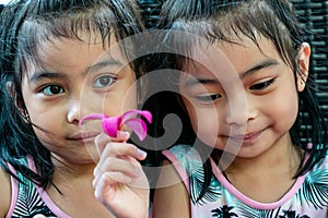 Pretty child twins holding a pink flower. Pretty asian twins portrait with flower and smiling