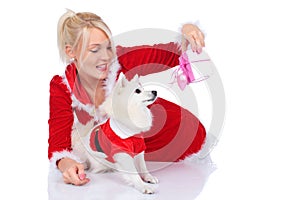 Pretty christmas woman with white dog and gift box