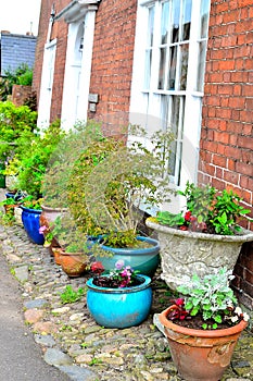 pretty cottage garden detail