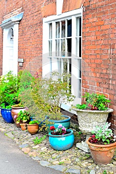 pretty cottage garden detail