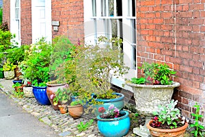 pretty cottage garden detail