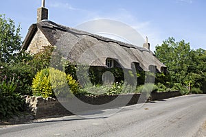 Pretty cottage with thatched roof