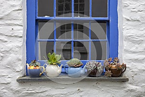 Pretty cottage window with teapots and plants