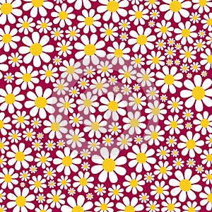 Pretty Country Daisy Flower Surface Pattern